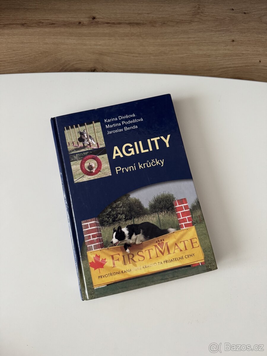 Agility - první krůčky