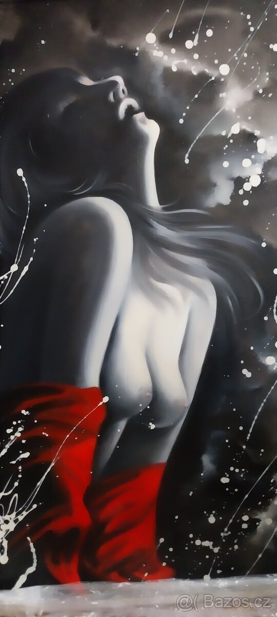 Zarámovaný obraz 96x68cm