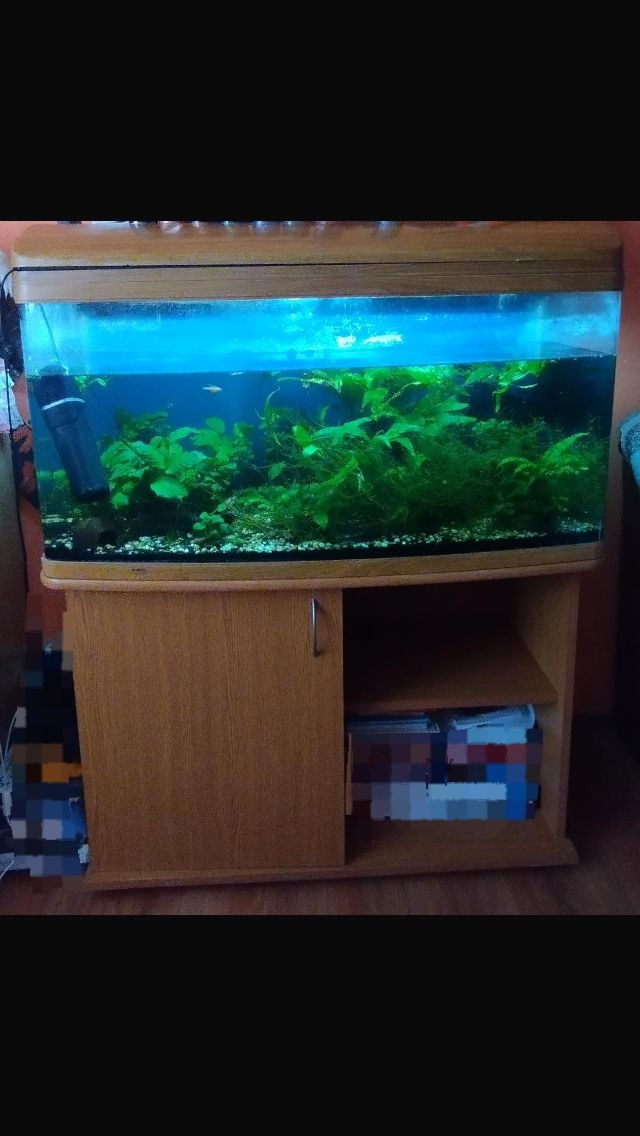 Akvárko pro vodní živočichy