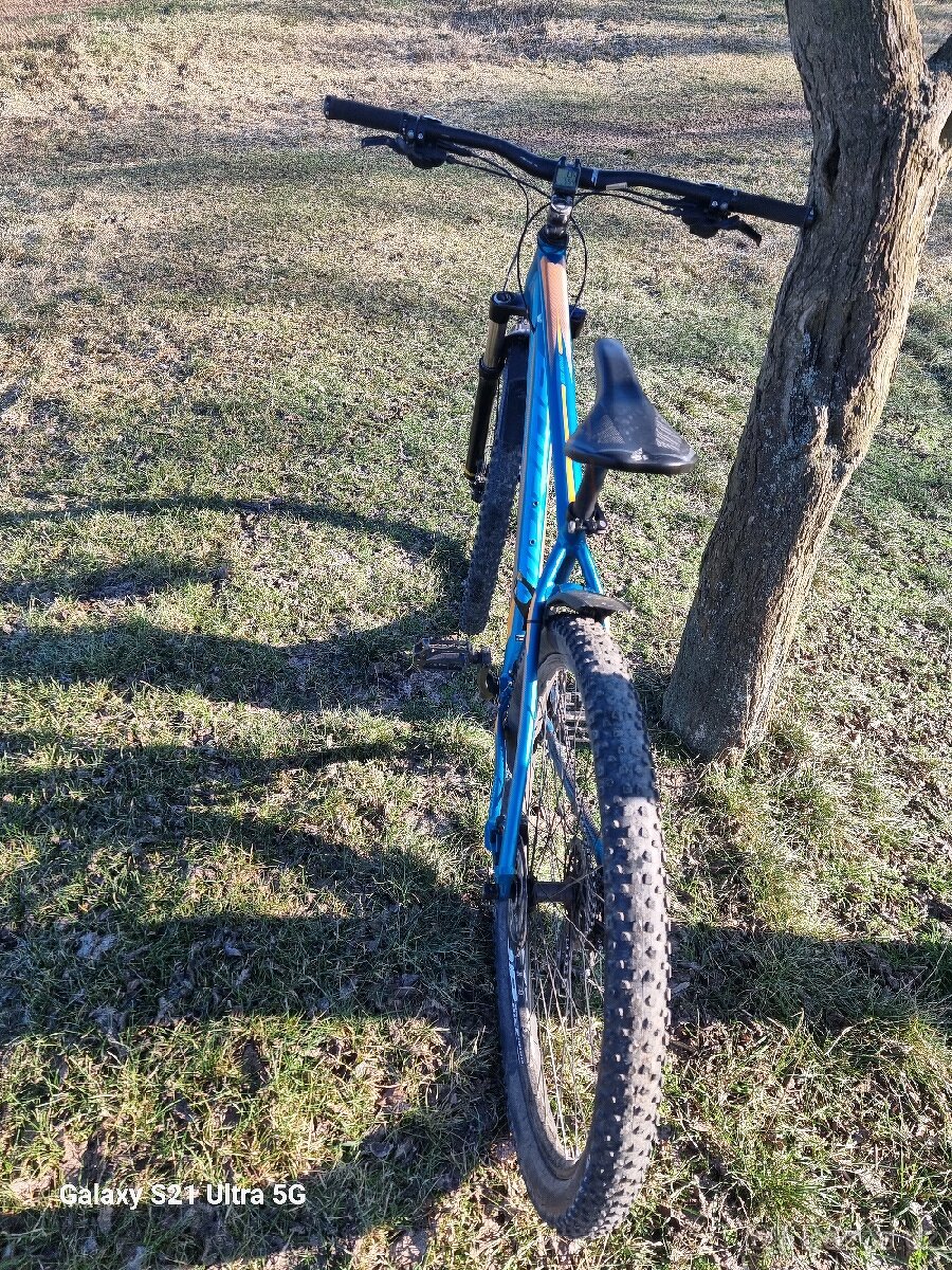 Big nine 300