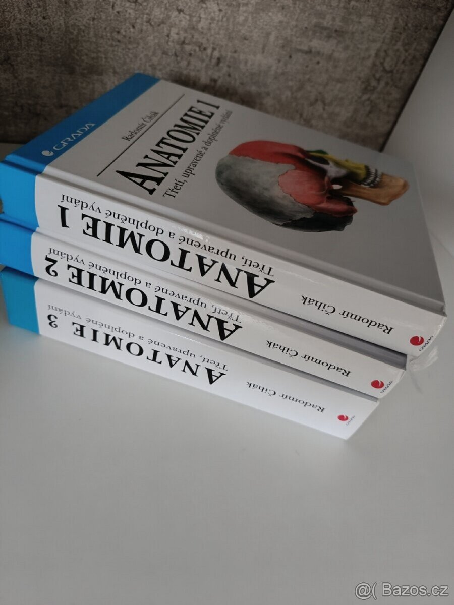 ANATOMIE-ČIHÁK