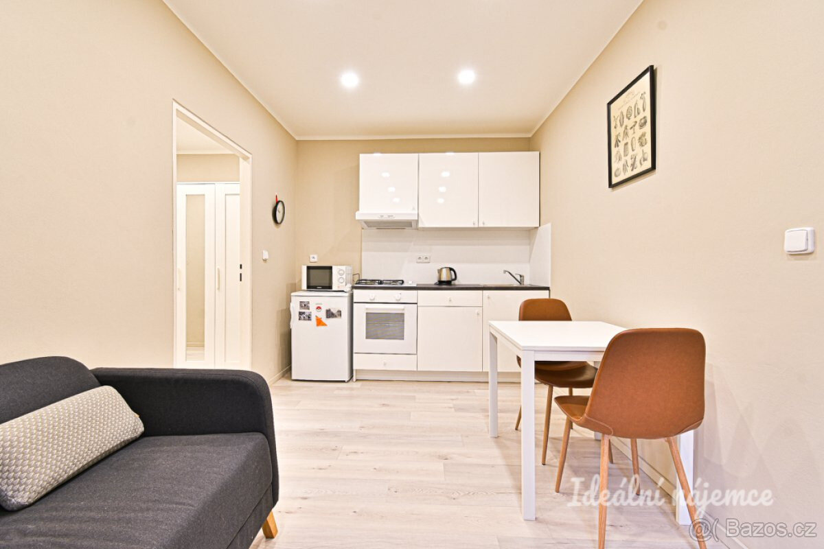 Prodej bytu 2+kk, Čápkova, 33 m2