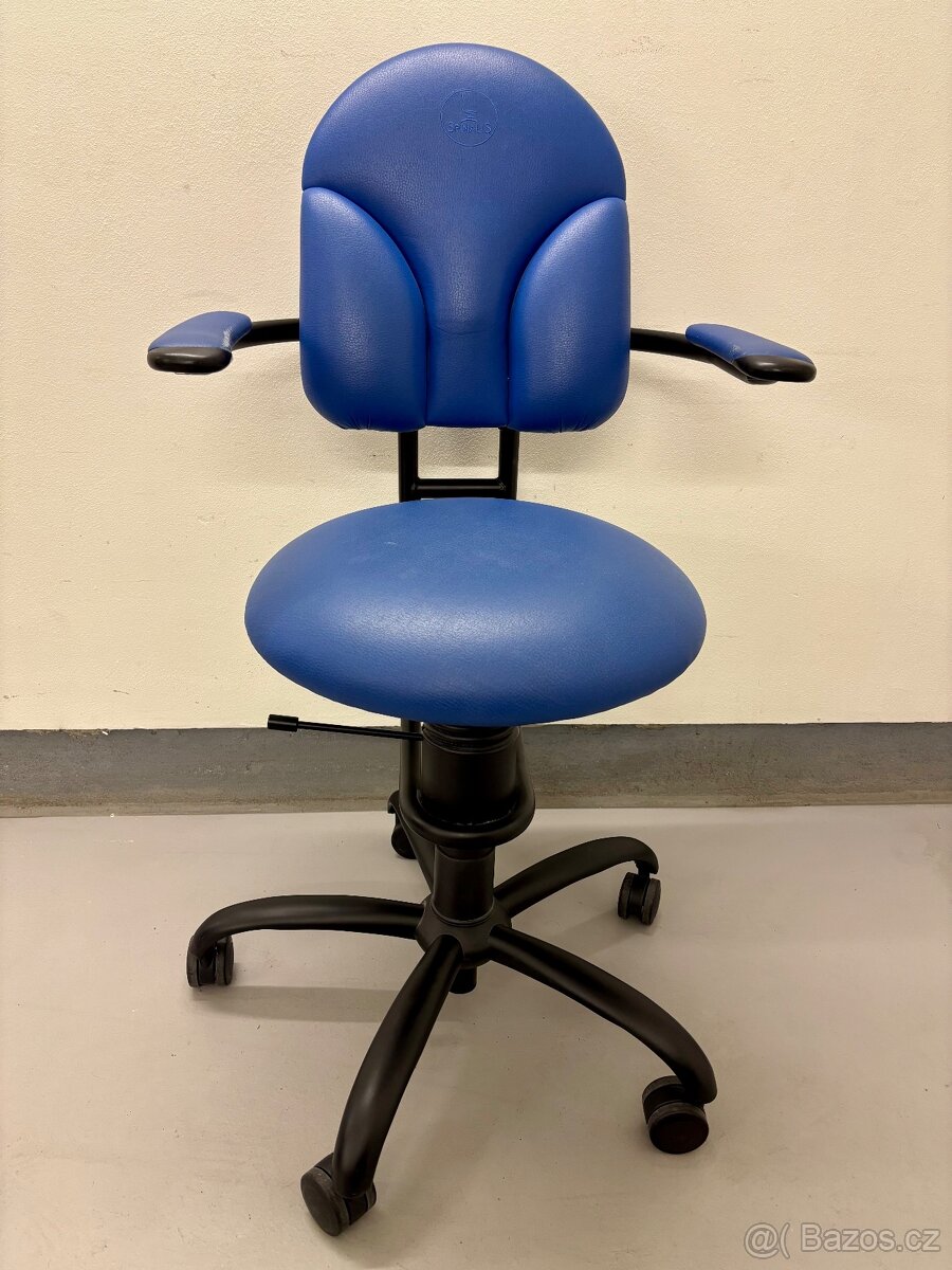 Kancelářská židle Spinalis Basic