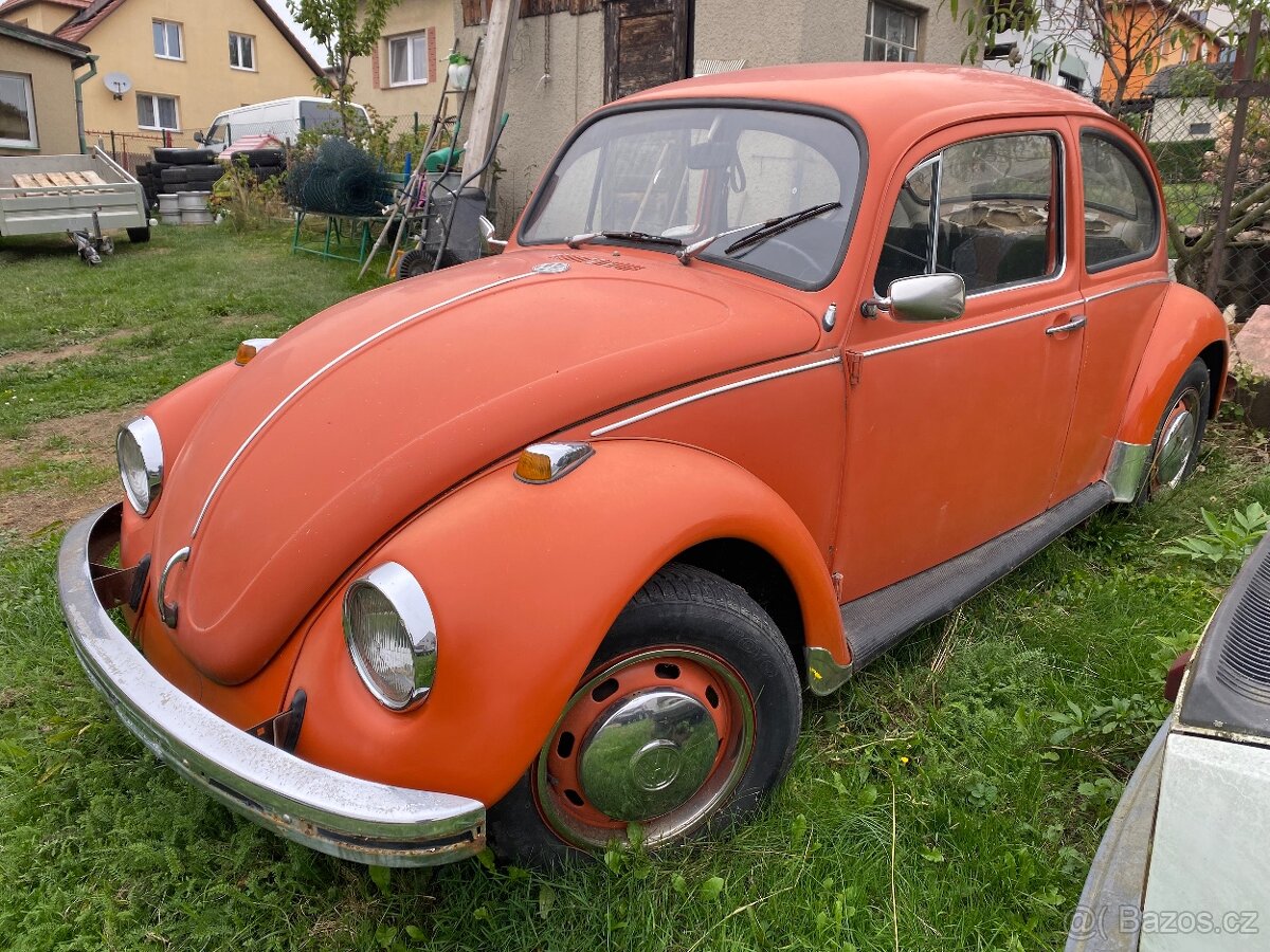 VW Brouk
