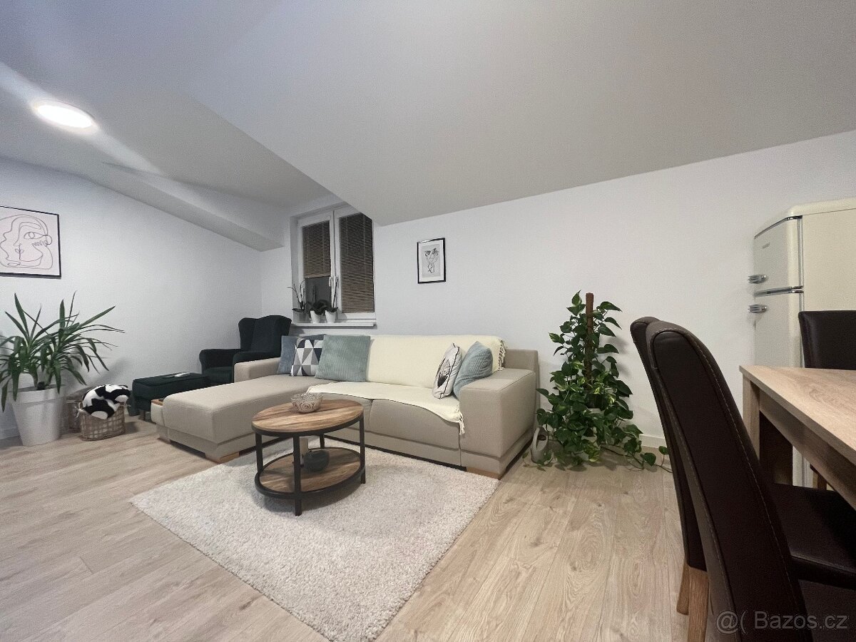 Hledám pronájem bytu - solidní nájemce