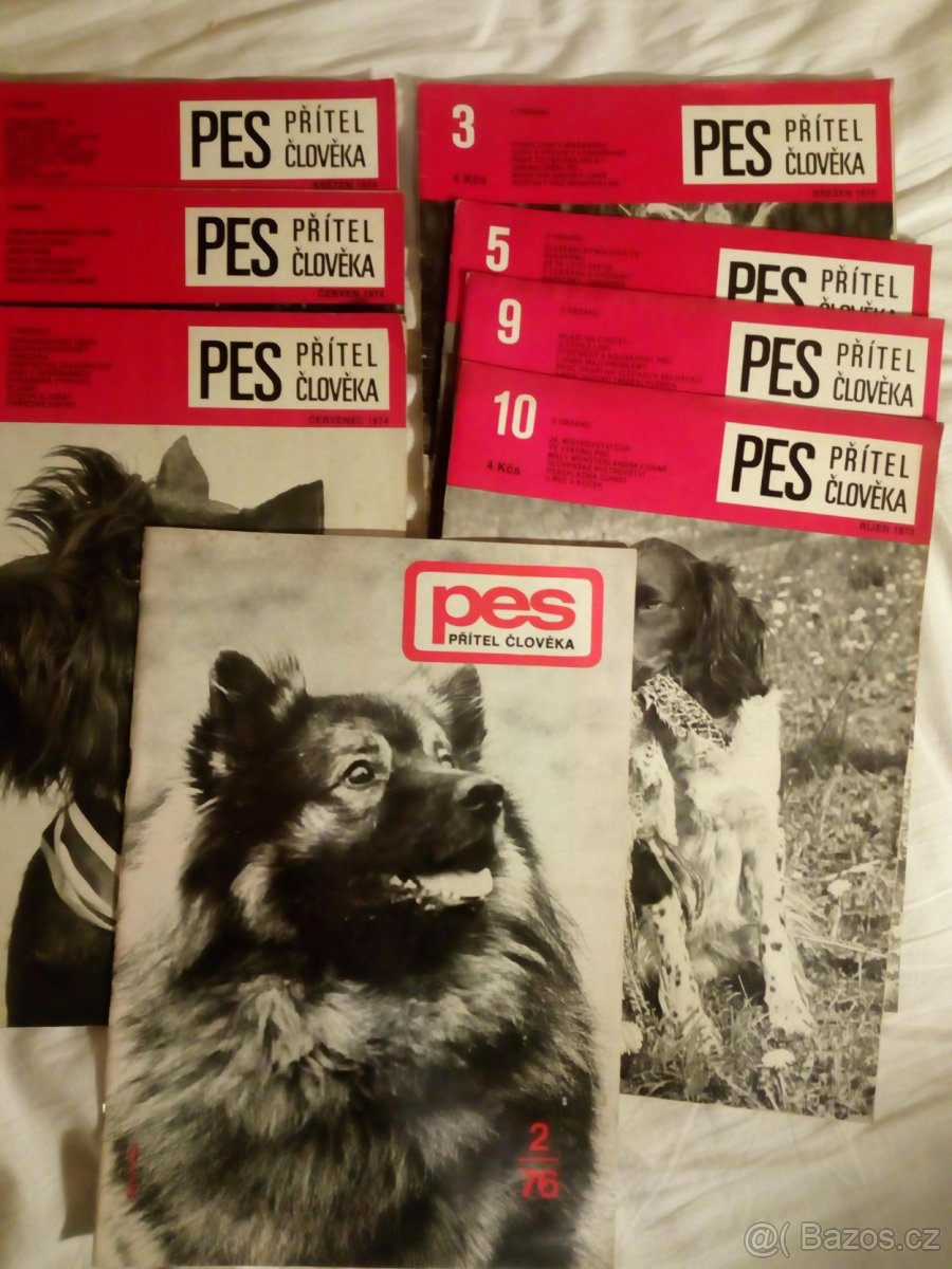 Pes přítel člověka
