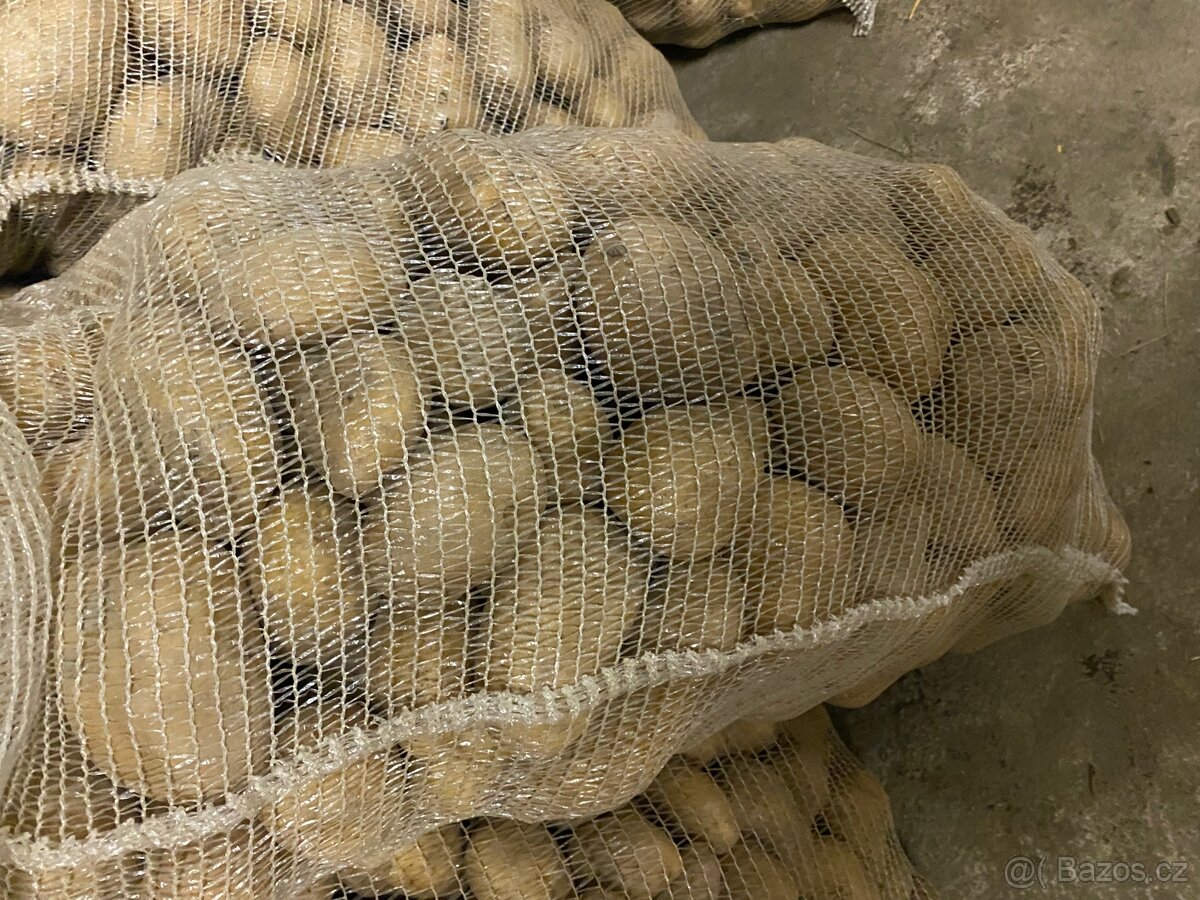 Brambory konzumní Adéla k uskladnění