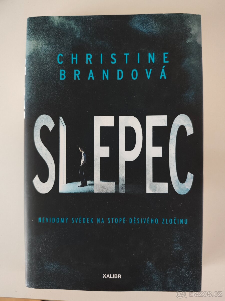 Christine Brandová - Slepec