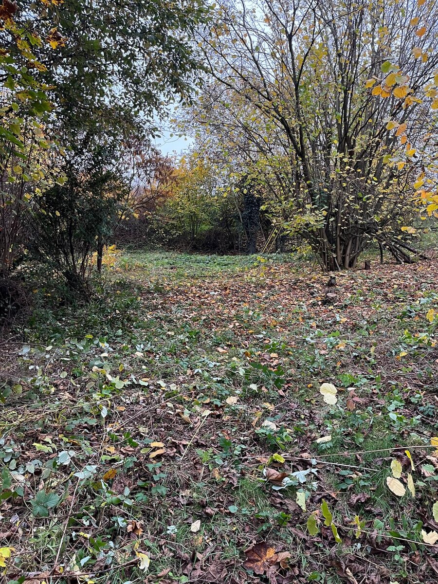 Prodej pozemku 1 644 m² – Senohraby