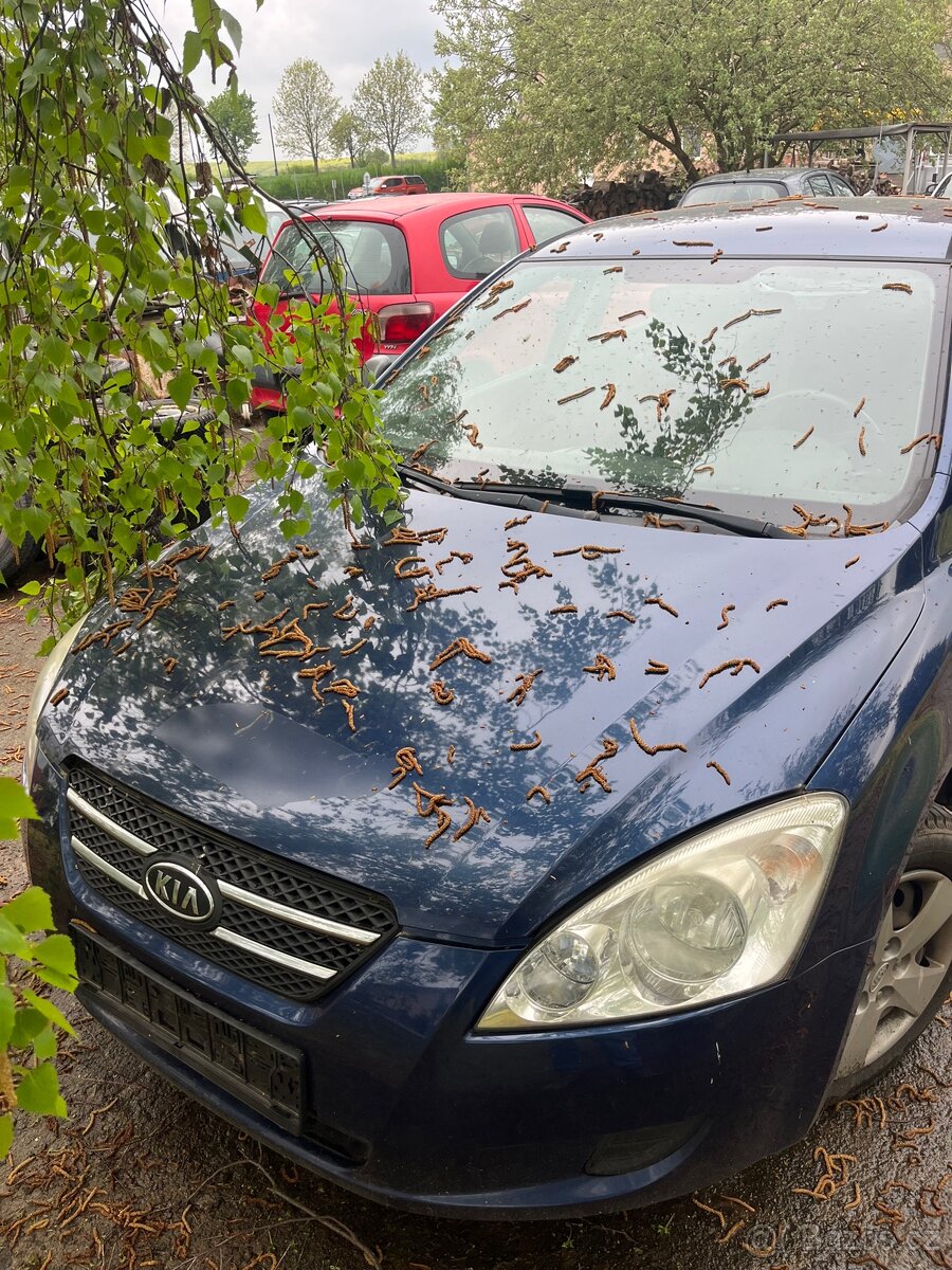 Kia ceed na náhradní díly