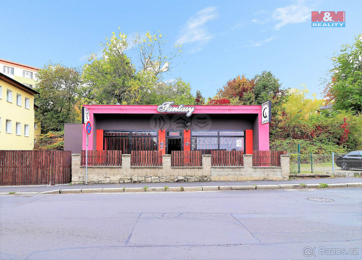Prodej hotelu, penzionu, 170 m², Cheb, ul. Havlíčkova