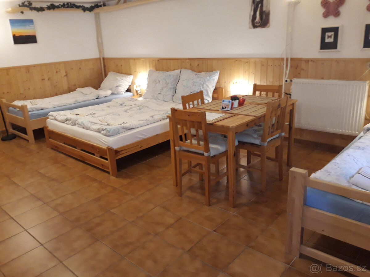 Nabízíme ubytování v apartmá až pro 4 osoby 10km od Plzně