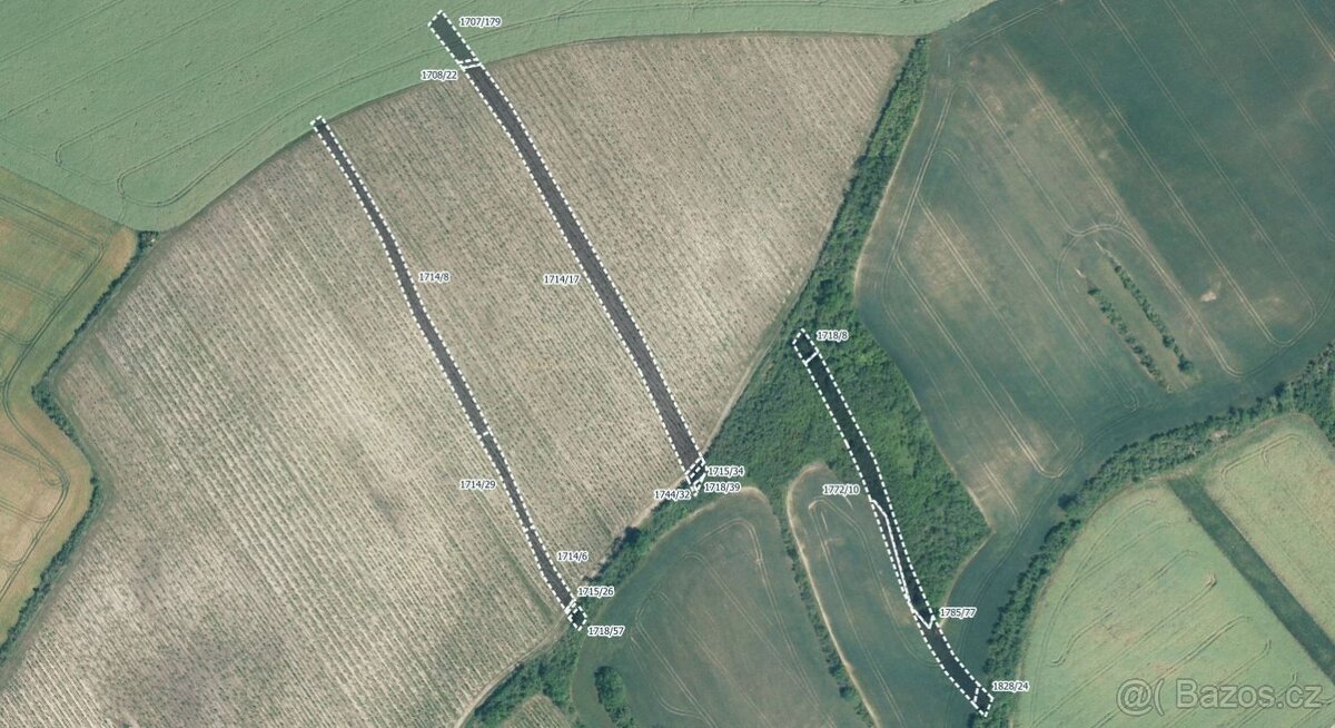 Zemědělská půda, prodej, Stavěšice, Hodonín