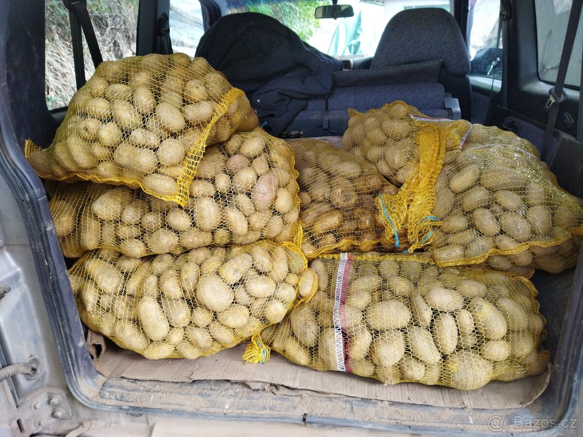 Krmné brambory , brambory na uskladnění, ječmen