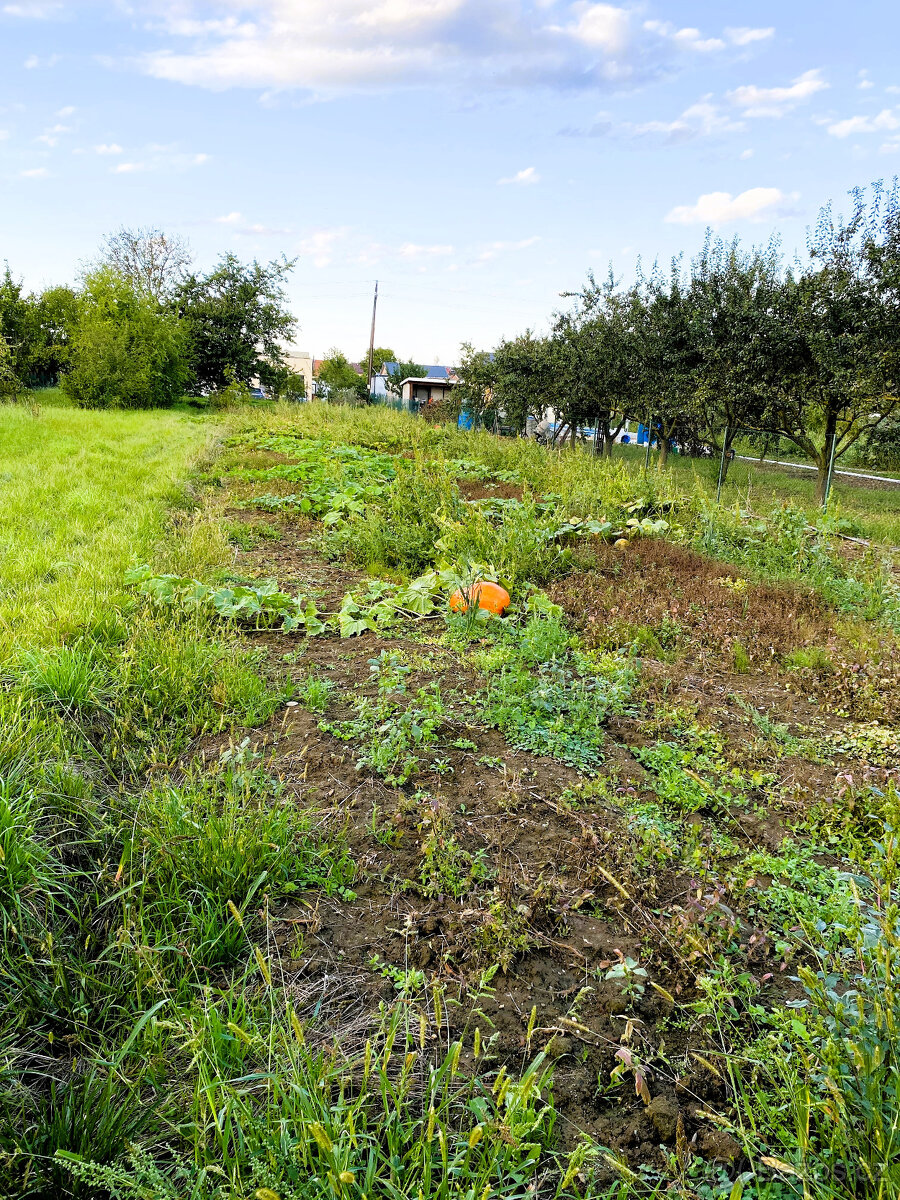 Pozemek pro rodinnou rekreaci