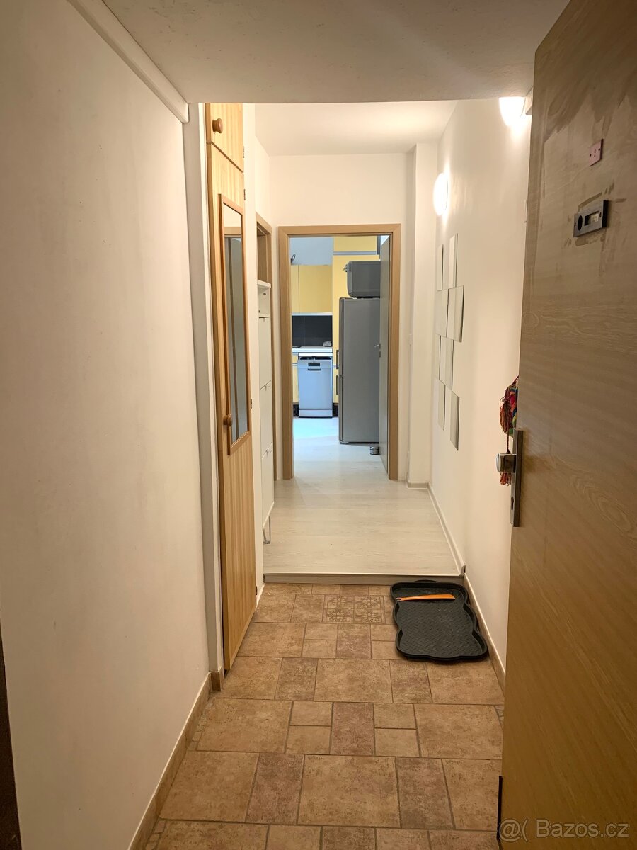Pronájem 1+1 (40m2) v klidné lokalitě