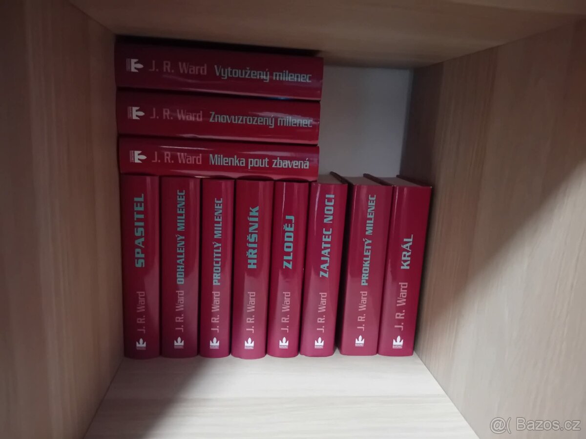 Bratrstvo černé dýky