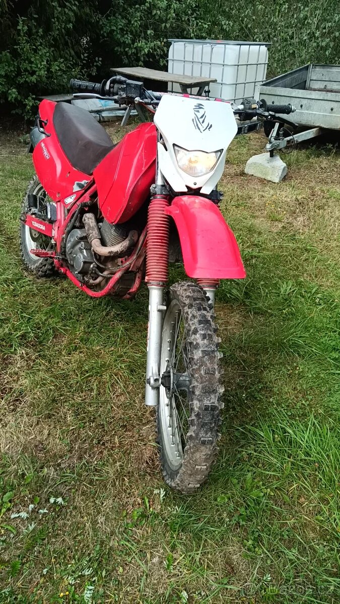 Suzuki DR 650
