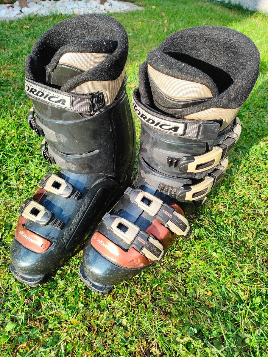 Přeskáče panske Nordica