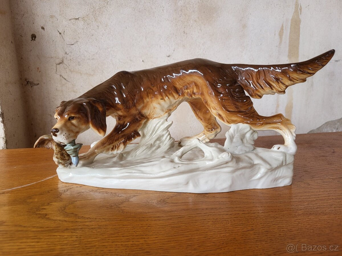 Lovecký pes Royal - Dux