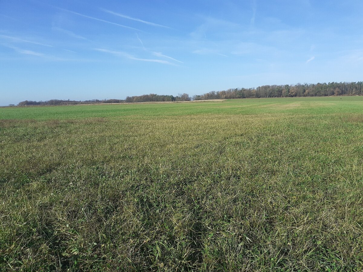 St. pozemek přes 8.000 m2