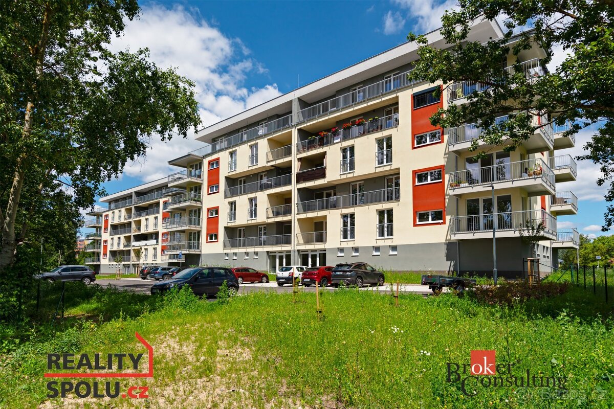 Prodej, byty/1+1, 39 m2, Svobodova 385, 36225 Nová Role, Kar