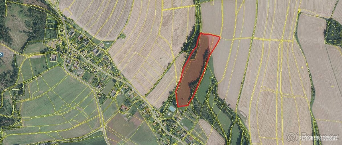 Nabídka pozemku KÚ Rozstání u Moravské Třebové - 4,2 ha