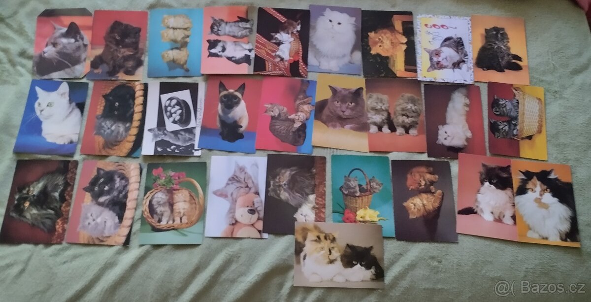 Pohlednice psů, pohledy psů,koček,pes, kočka.