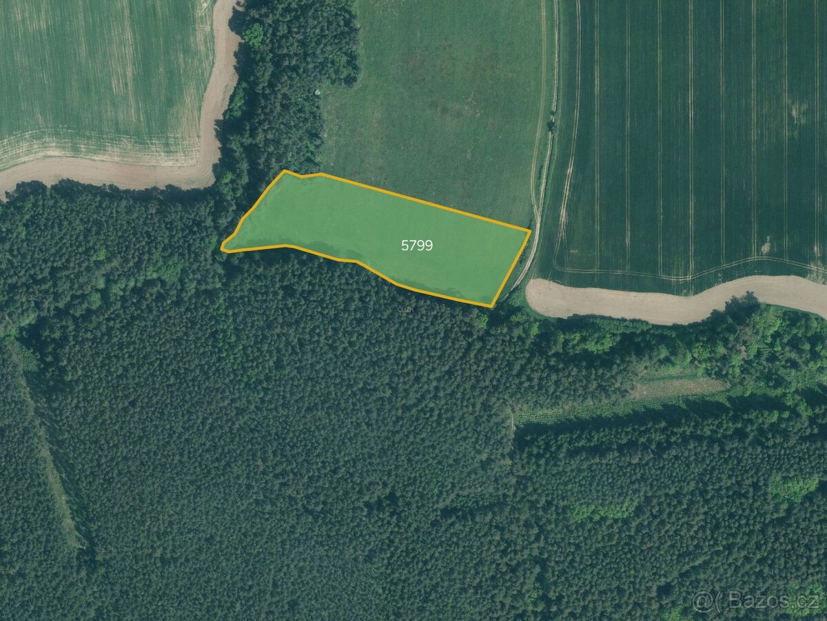 Louka, prodej, Písecká Smoleč, Slabčice, Písek