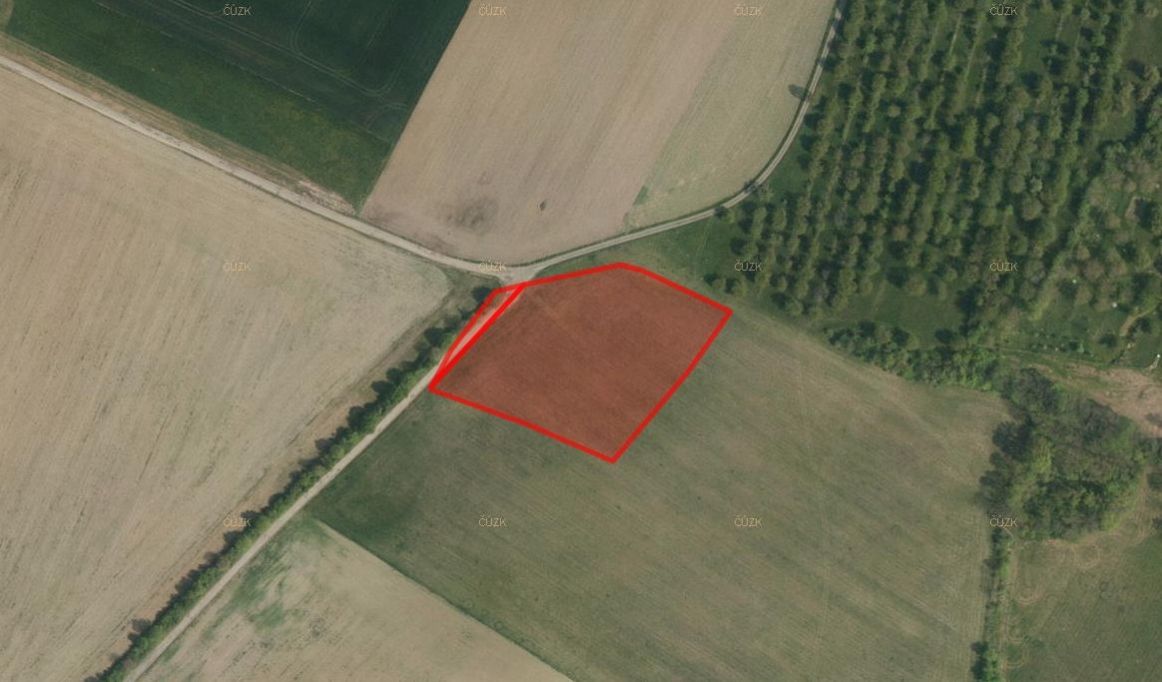 Zemědělská půda, prodej, Radim, Luže, Chrudim