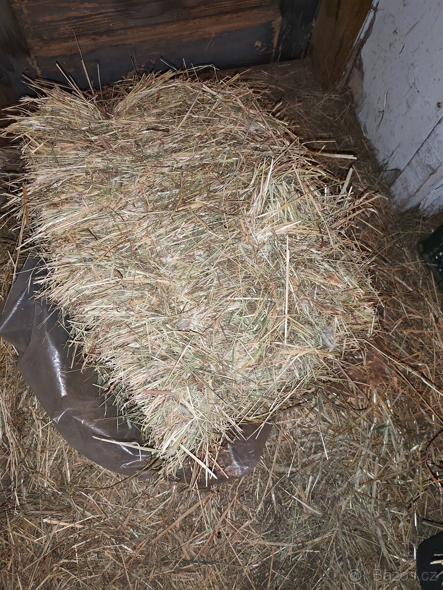 Prodej sena