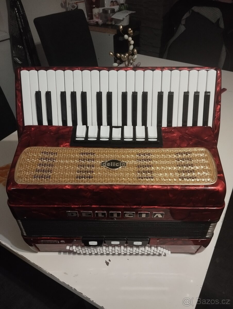 Harmonika akordeon