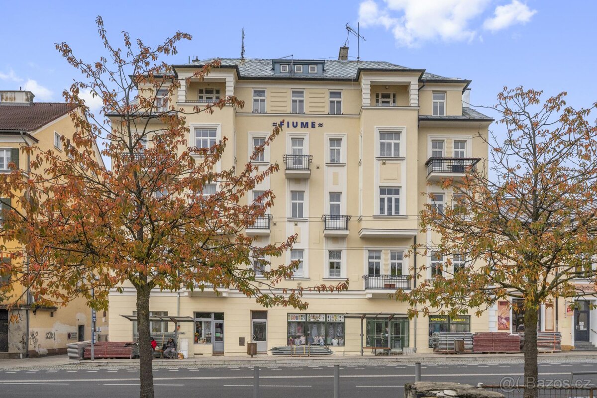 Pronájem bytu 1+1, 42 m2, Mariánské Lázně, Hlavní třída