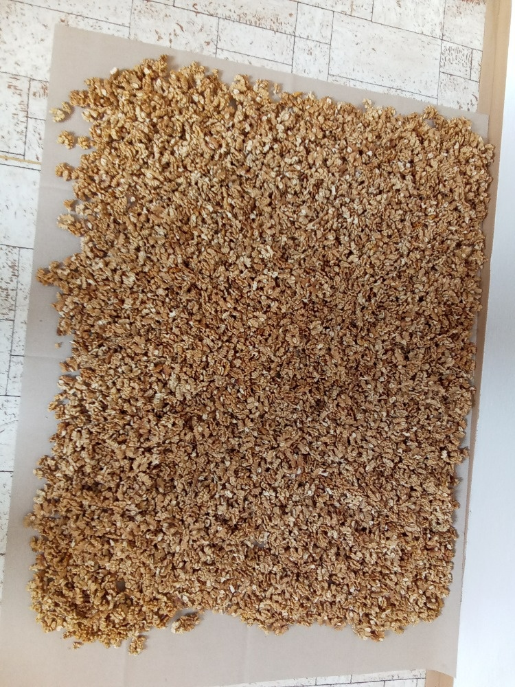 vlašské ořechy-suché