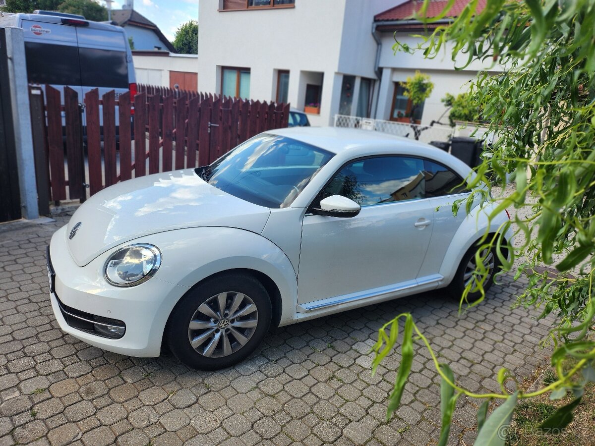 VW Beetle TOP stav