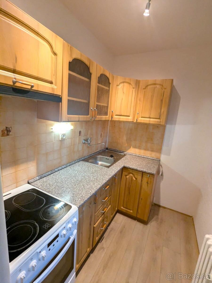 Pronájem bytu 1+1, Alšova 222, Bílina