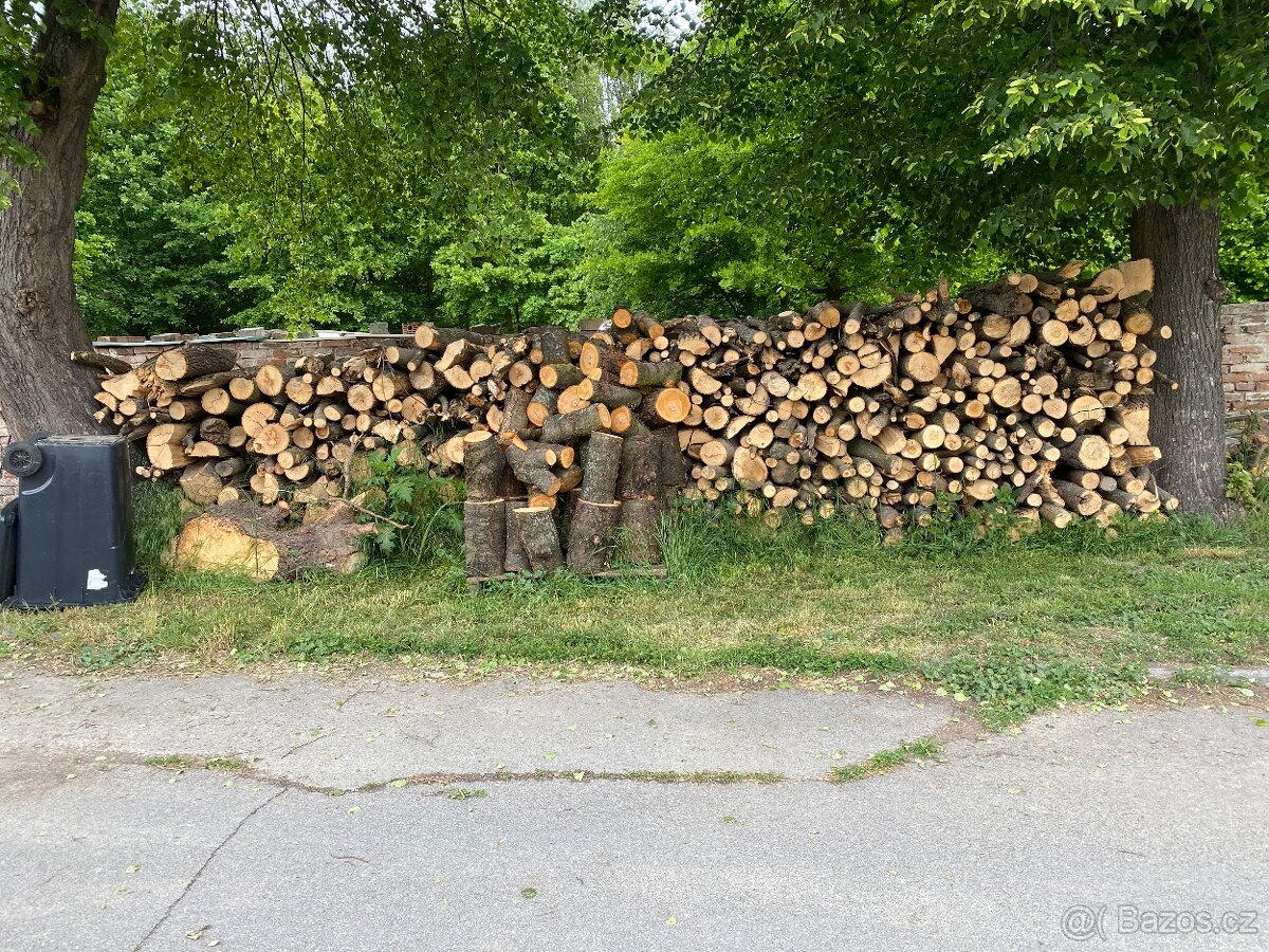 Palivové dřevo