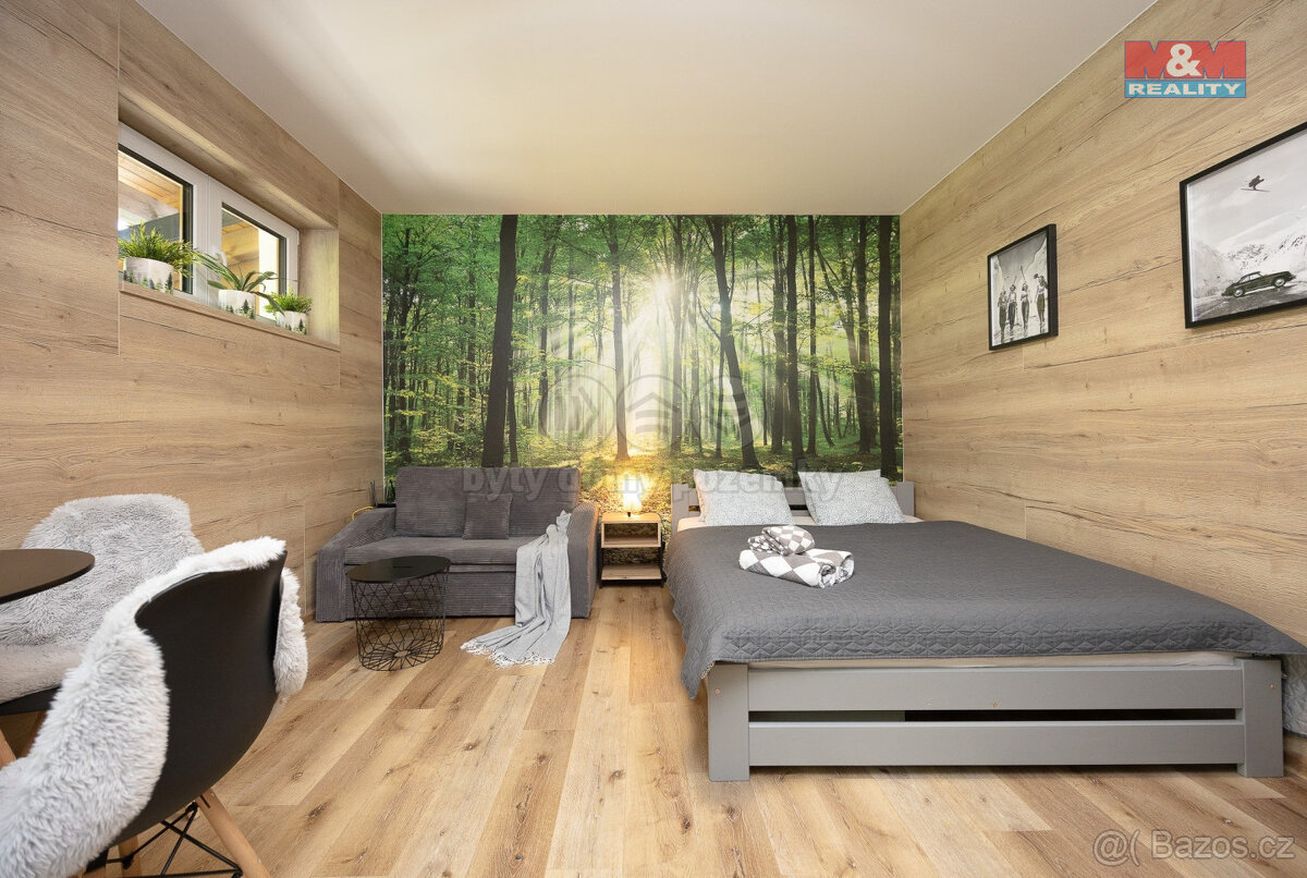 Prodej apartmánu 1+kk, Vrbno pod Pradědem, ul. Žižkova