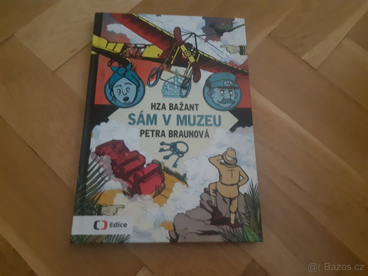 Sám v muzeu