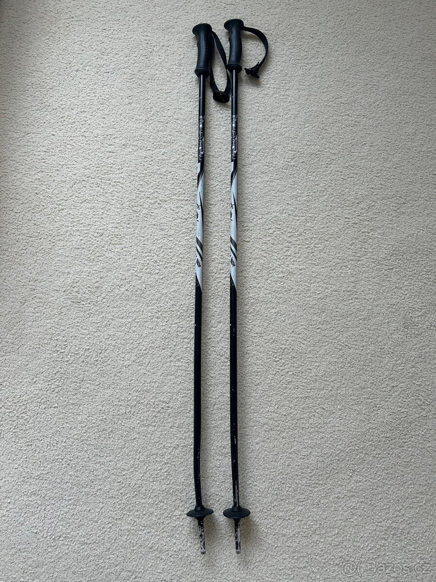 Lyžařské hůlky 105