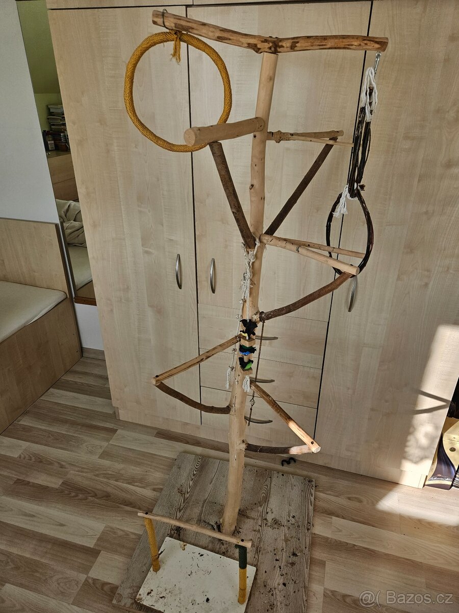 Strom pro papouška a bidlo na okno