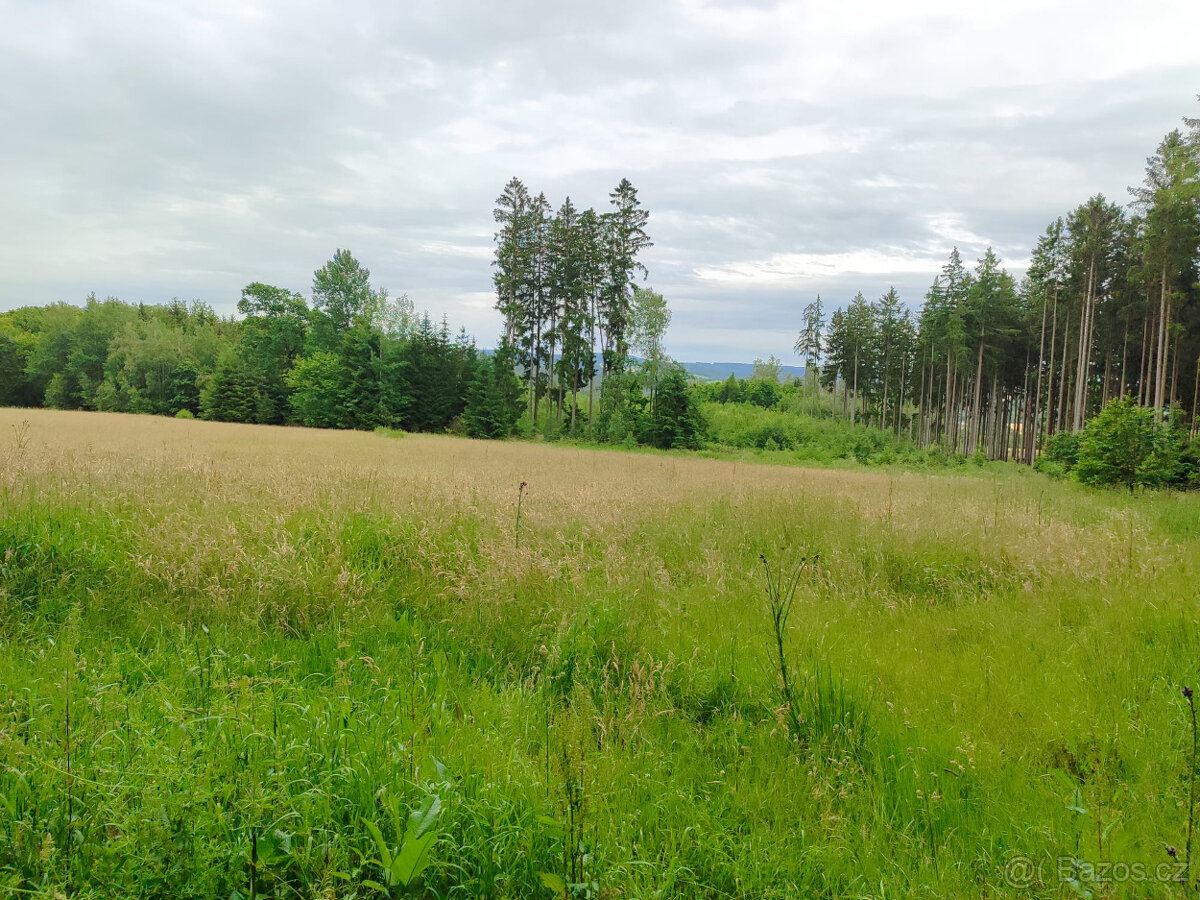 Prodej pozemku - trvalý travní porost, 6984 m2, Mirošov