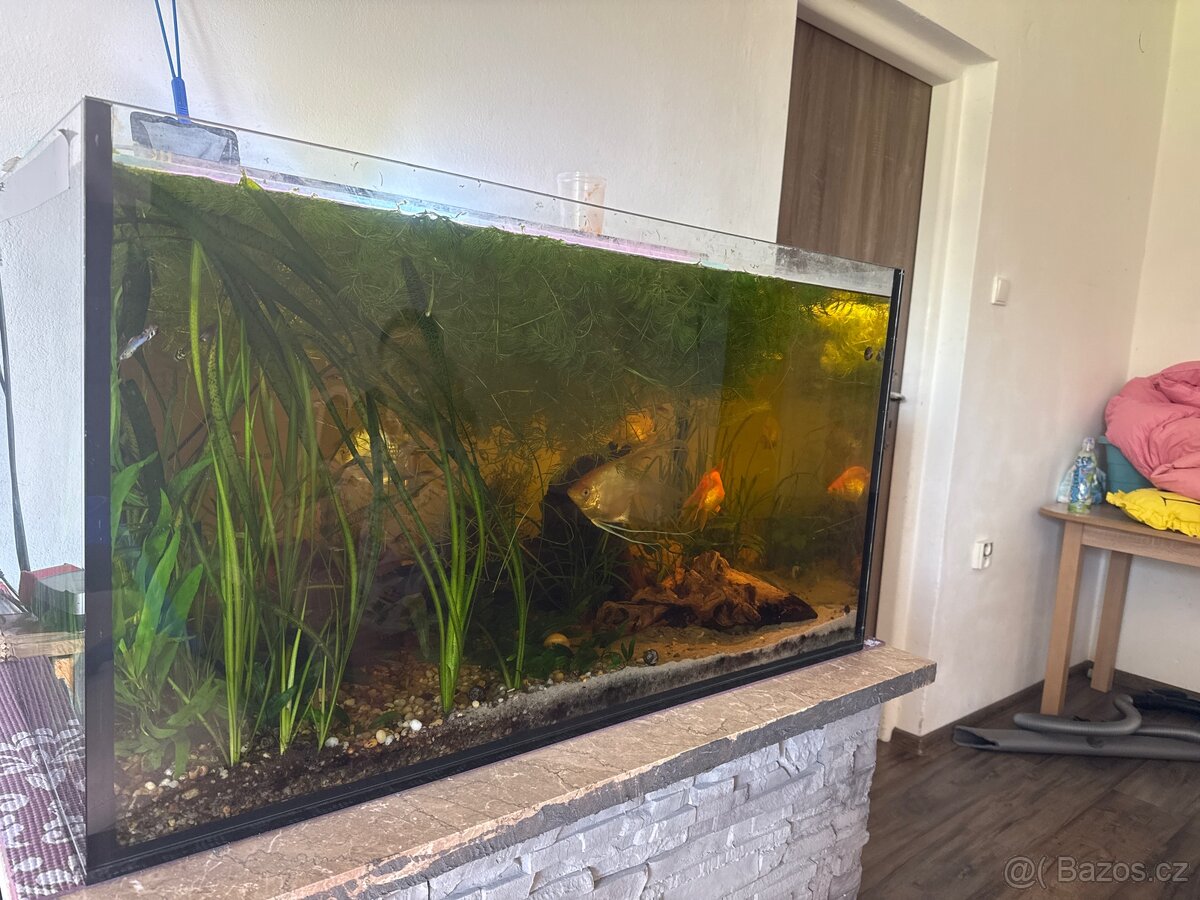 Akvarium