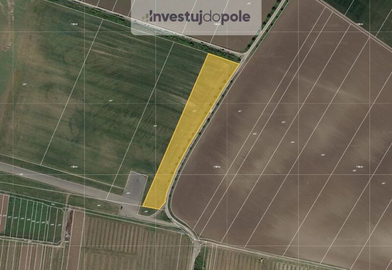 Prodej pole v k.ú. Popice