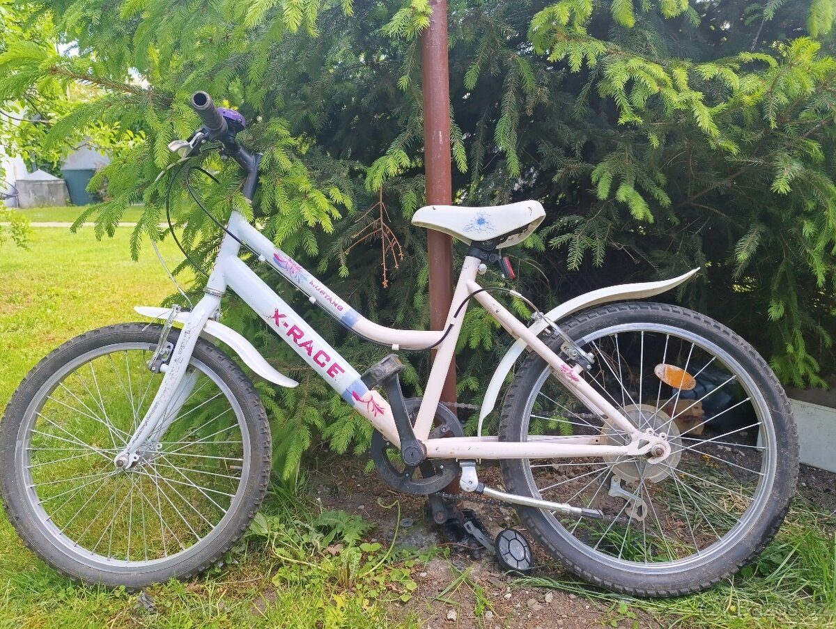 Kolo 24