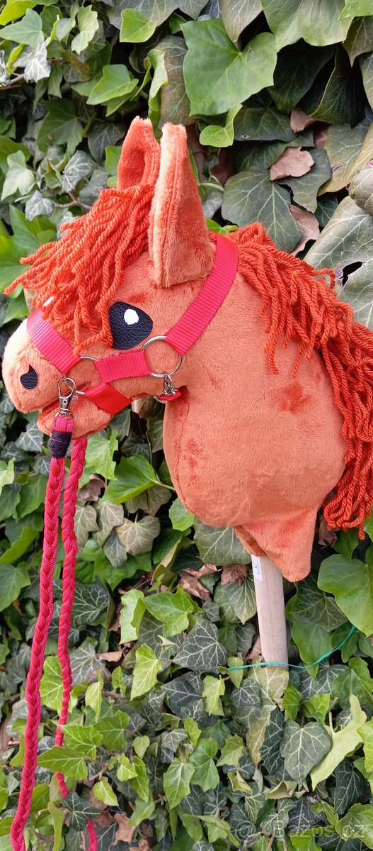 Hobby horse