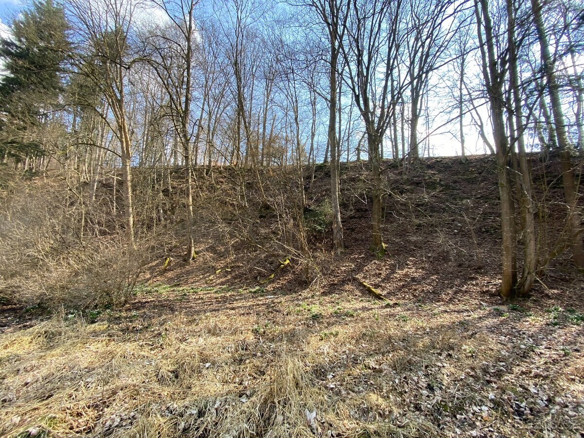 Lesní pozemek Třebovice