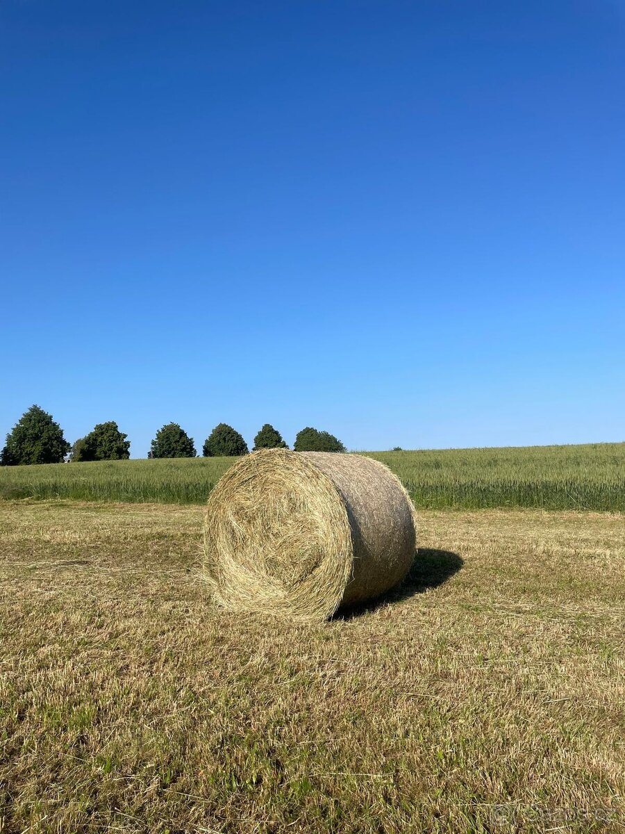 Seno - balíky