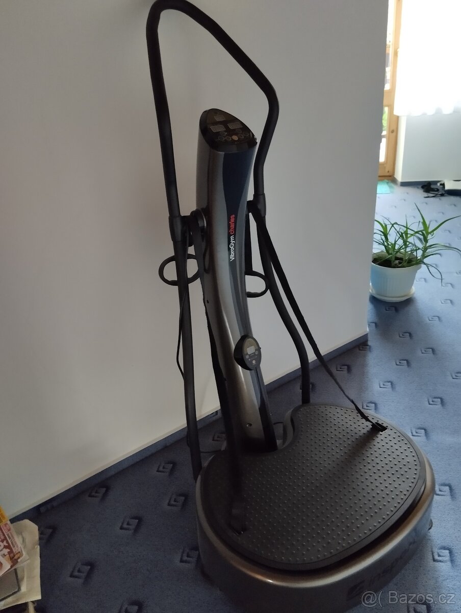Vibro gym Insportline