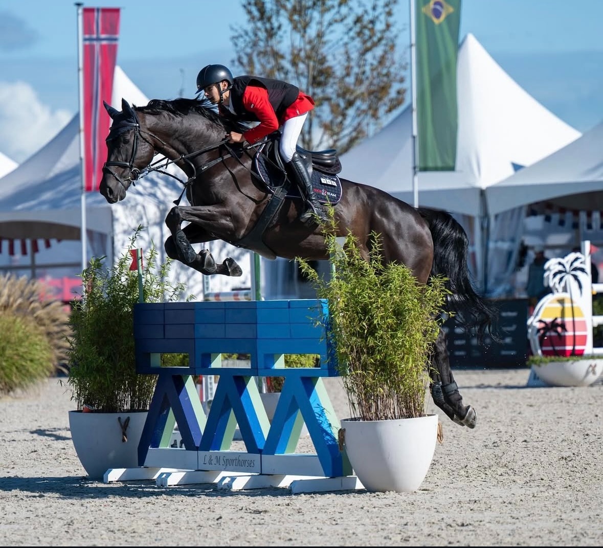 Sportovní kůň pro dítě či juniora